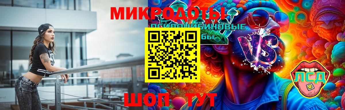 Галлюциногенные грибы прущие грибы  Вход с VPN  Апатиты 